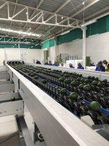 Hablemos de aspectos comerciales: <br> No todas las atmósferas controladas (AC) son iguales. ¡Verdadero!