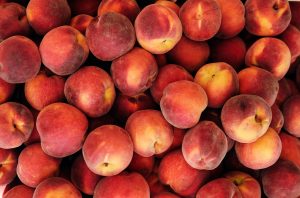 <br> ¿La Bolsa Atmosfera Modificada controla desordenes fisiológicos? <br> FALSO