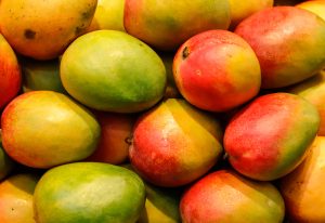 Maintain the quality of mangoes with a Controlled Atmosphere