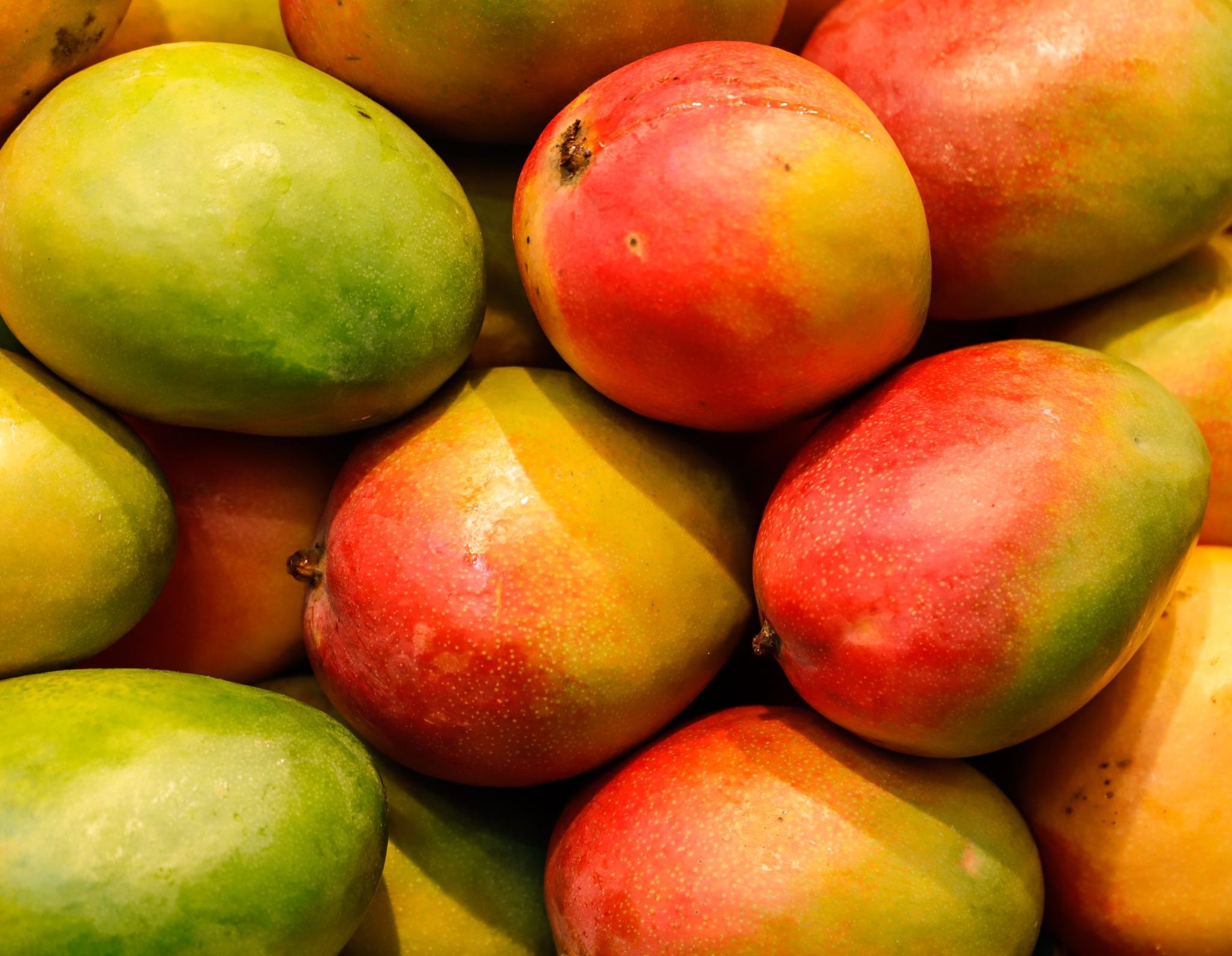 Maintain the quality of mangoes with a Controlled Atmosphere