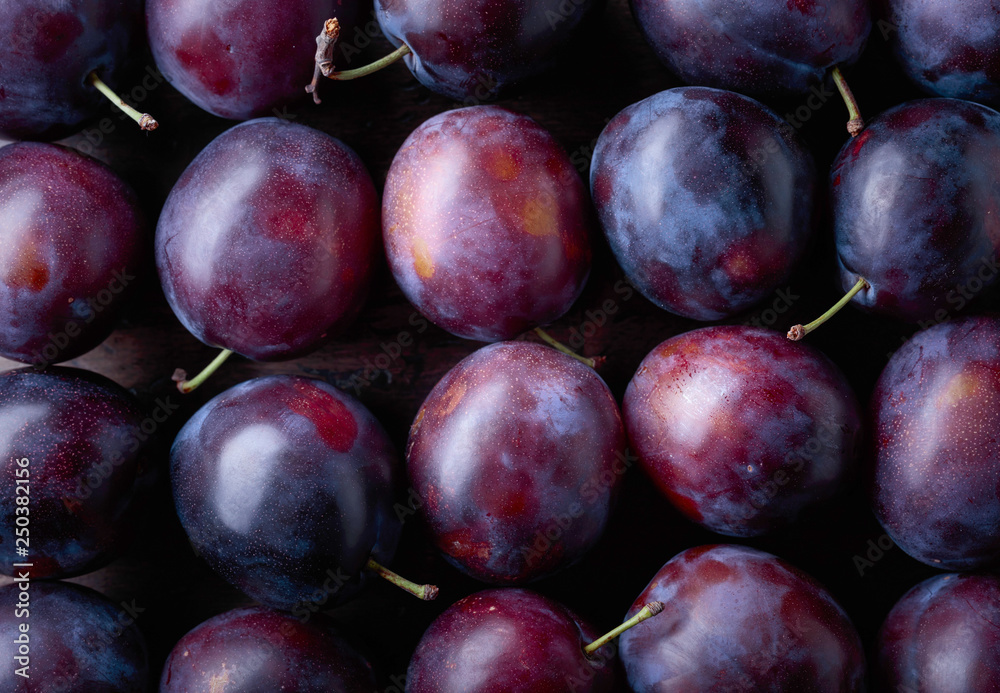 <br>Maximizando la Exportación de Carozos: Beneficios de la Atmosfera Controlada<br>