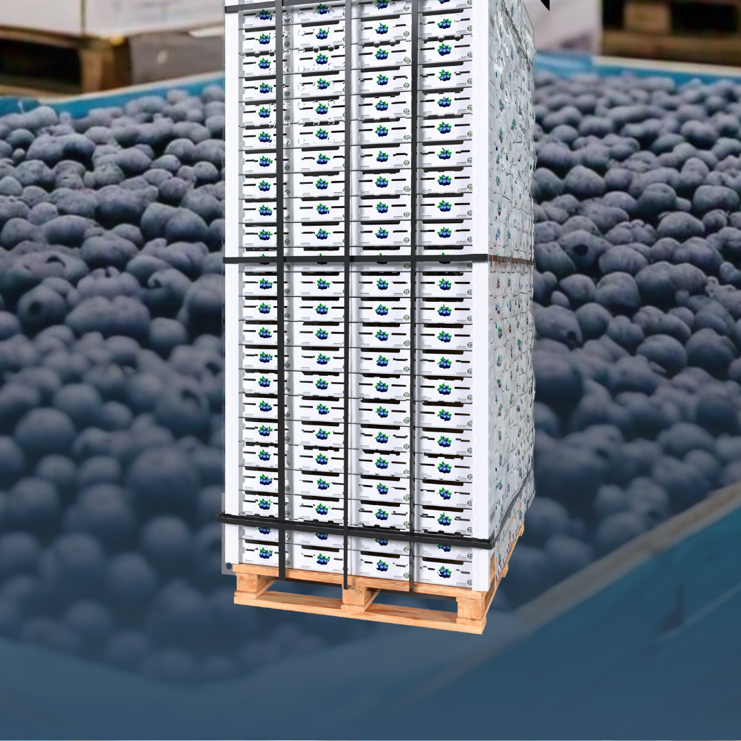 EXPORTACIONES A EEUU – CERTIFICACION BOLSAS PALLET MACROPERFORADAS 0.1%, 0.3%, y 0.9% – LIVENTUS.